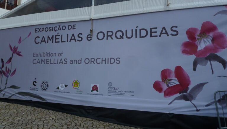 Camélias e Orquídeas em Sintra 2018