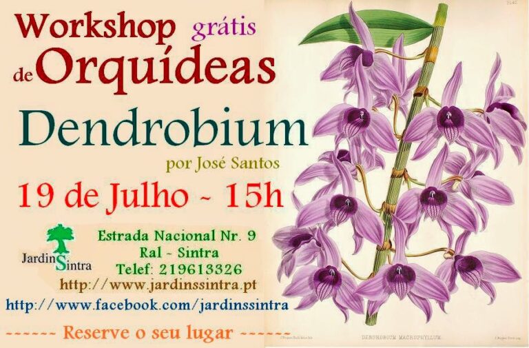 Hoje – Dois Workshop gratuitos