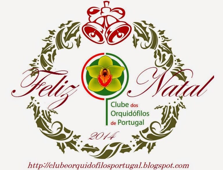 Feliz Natal
