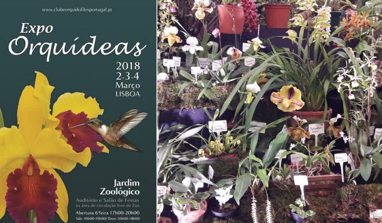 Expo Orquídeas Lisboa 2018 – Fotos