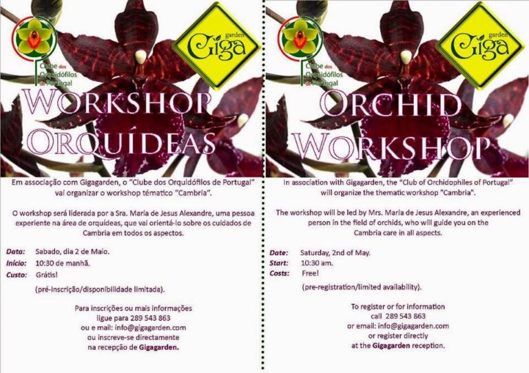 Workshop no Algarve