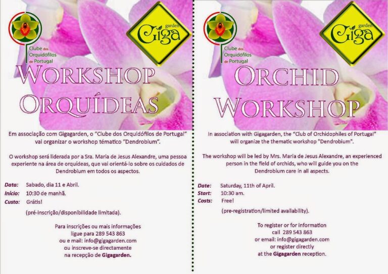 Workshops em Abril