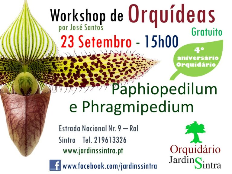 Workshop Gratuito – Sapatinhos