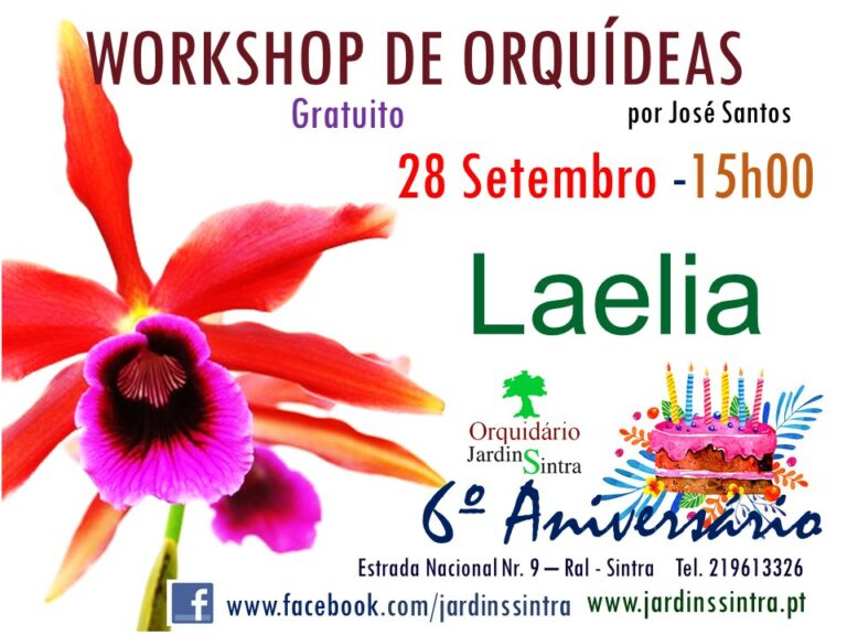 Workshop e Aniversário do Orquidário dos Jardins Sintra