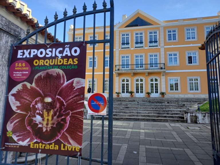 E foi assim… Exposição de novembro de 2022