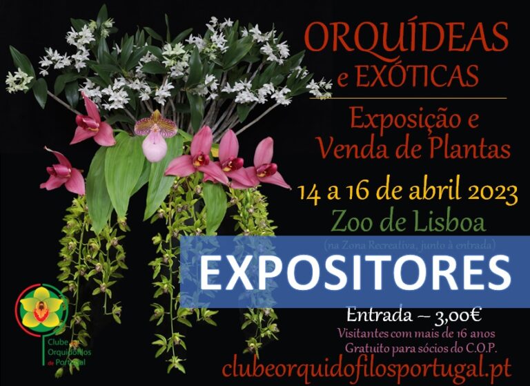 Expositores e Vendedores na Exposição de abril
