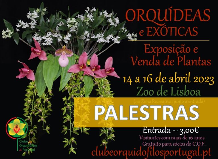 Palestras e Workshops na Exposição de Lisboa