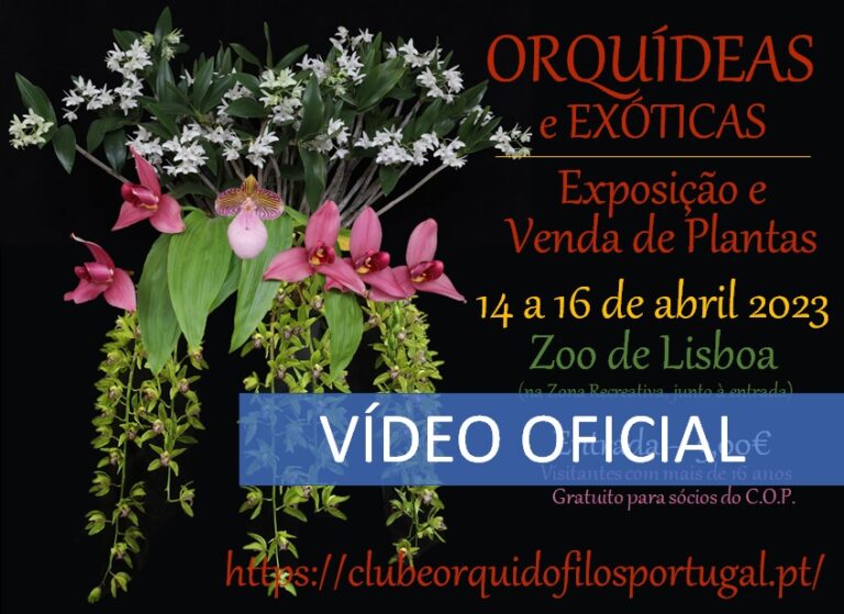 E foi assim… Exposição de abril de 2023