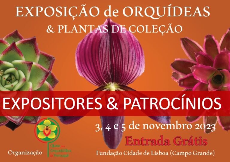 EXPOSITORES E VENDEDORES NA EXPOSIÇÃO DE NOVEMBRO 2023