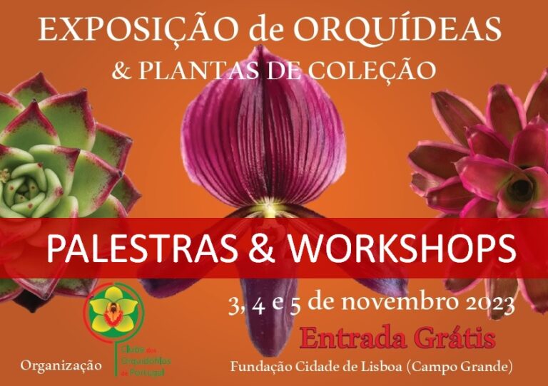 PALESTRAS & WORKSHOPS NA EXPOSIÇÃO DE NOVEMBRO DE 2023