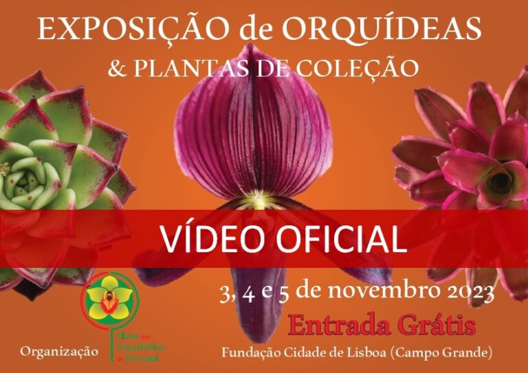 E foi assim … Vídeo oficial da Exposição de Novembro de 2023