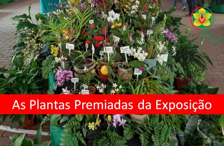 As Plantas Premiadas da Exposição