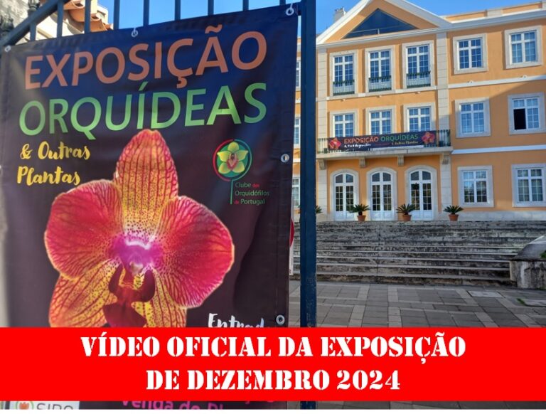 Vídeo Oficial da Exposição de Dez.2024