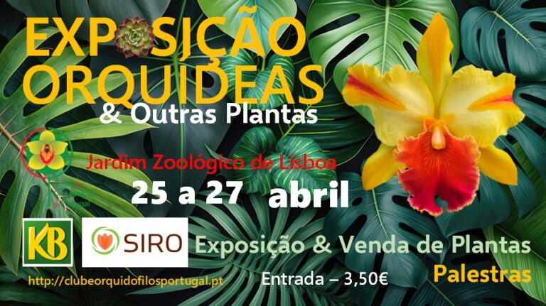 Exposição ORQUÍDEAS E OUTRAS PLANTAS em 25-27 de Abril 2025