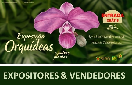 VENDEDORES NA EXPOSIÇÃO DE NOVEMBRO 2026